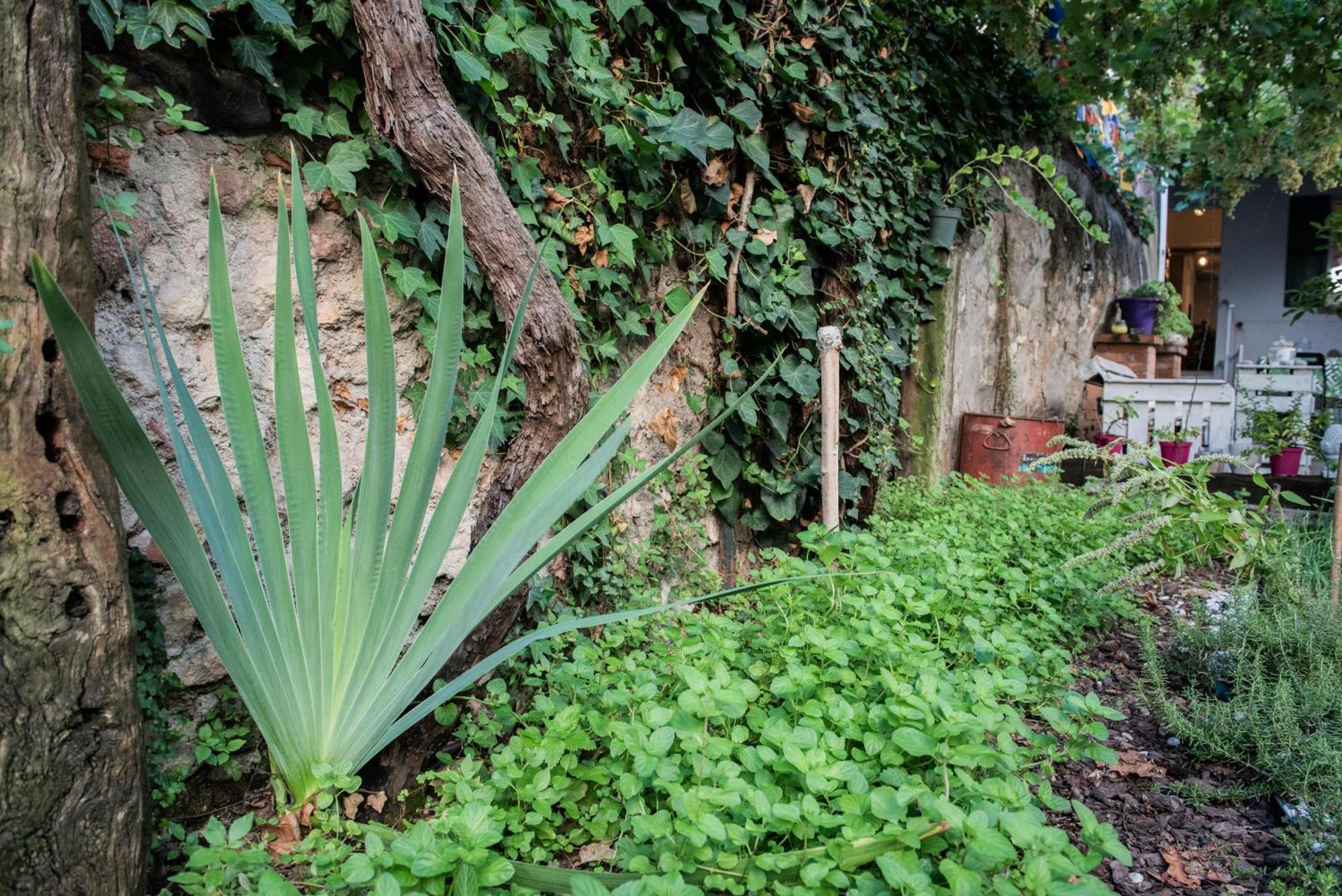 Casa Babbuino Hotel Verona Buitenkant foto
